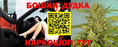 мдпв Будённовск