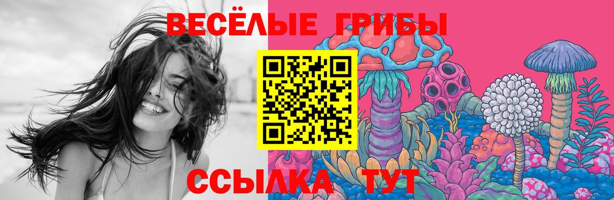 Галлюциногенные грибы мухоморы Строитель