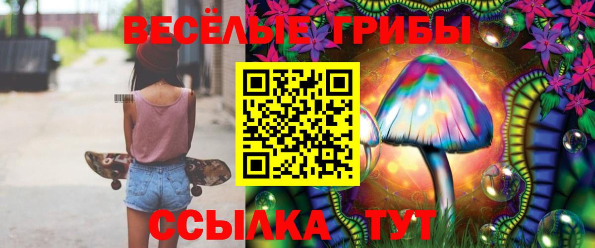 Альфа ПВП Строитель
