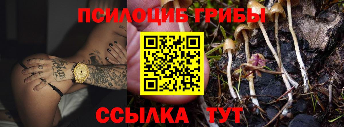 Строитель  где купить   Вход с VPN  Галлюциногенные грибы Magic Shrooms 